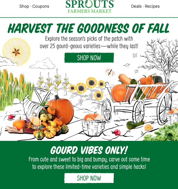 Sprouts marketing email with a pumpkin theme