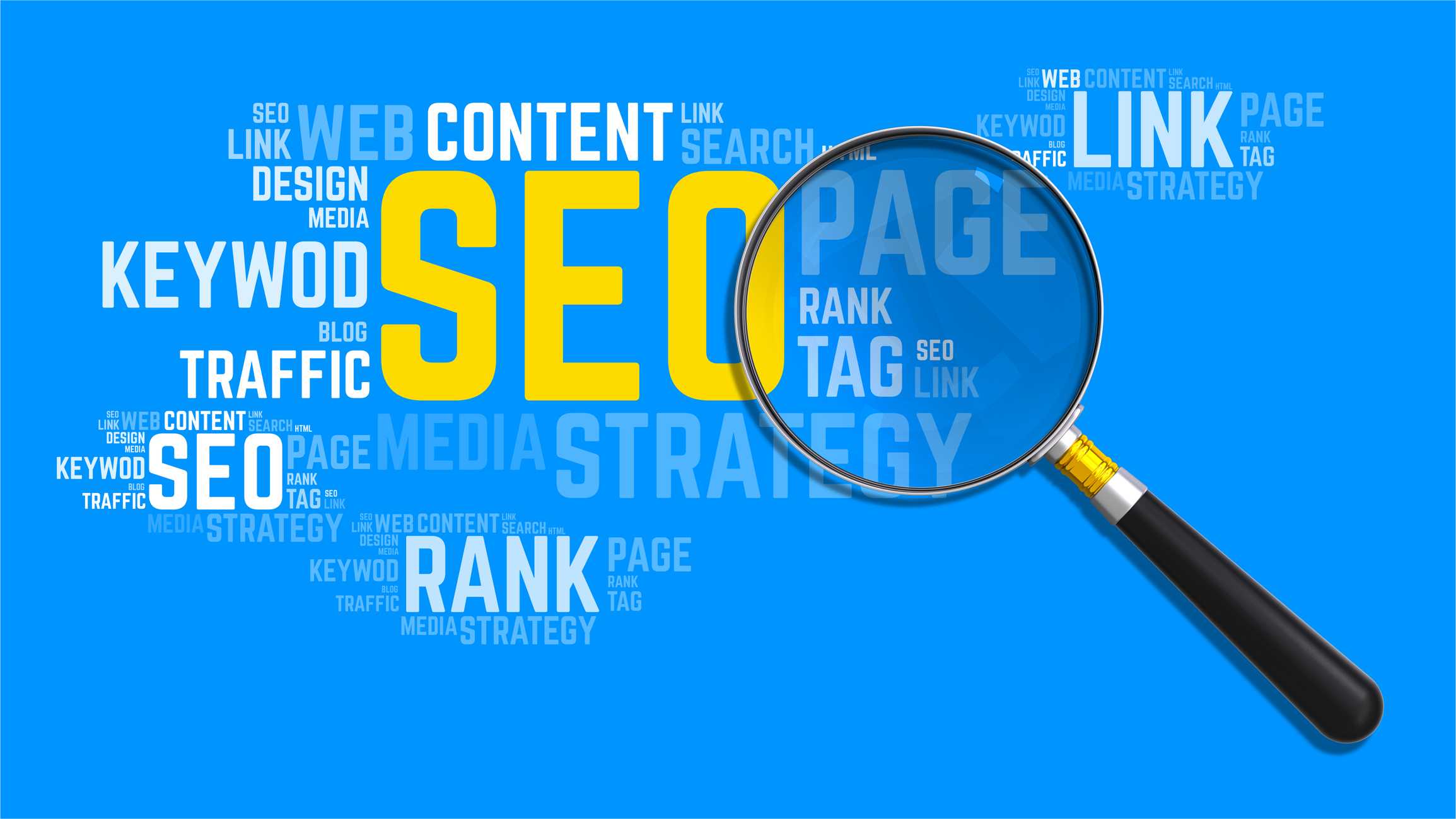 Top 5 SEO Tips to Drive BLeads to Your Website in 2024