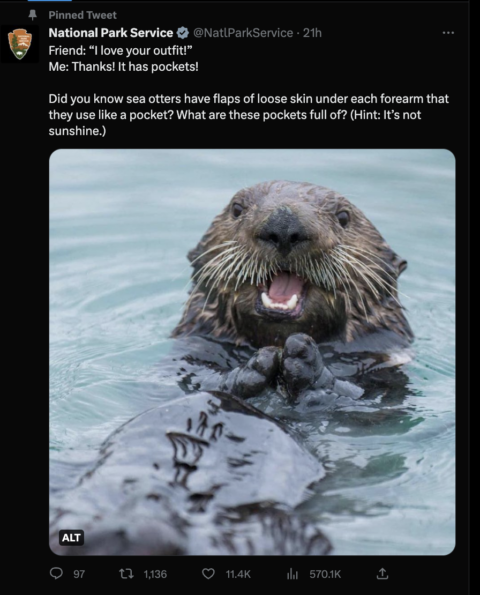 National Park Service Tweet about otters